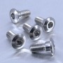 Pro-Bolt Yamaha 2015 YZF-R1 Titanium Rear Disc Bolts x5