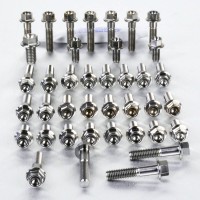 Pro-Bolt Titanium Race Spec Engine Bolt Kit 2015-19 Yamaha YZF-R1 Pro-Bolt Titanium Race Spec Engine Bolt Kit 2015-19 Yamaha YZF-R1