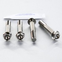 Pro-Bolt Titanium Front Brake Caliper Mount Bolt Kit, Kawasaki, Suzuki, Yamaha.