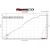 Graves Motorsports 2015-2016 BMW S1000RR Carbon Cat Back Slip-On Exhaust