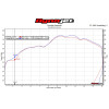 Graves Motorsports 2015-2016 BMW S1000RR Carbon Cat Back Slip-On Exhaust