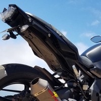 Graves Motorsports Yamaha FZ-10 / MT-10 Fender Eliminator Kit