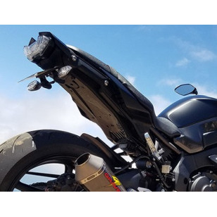 Graves Motorsports Yamaha FZ-10 / MT-10 Fender Eliminator Kit