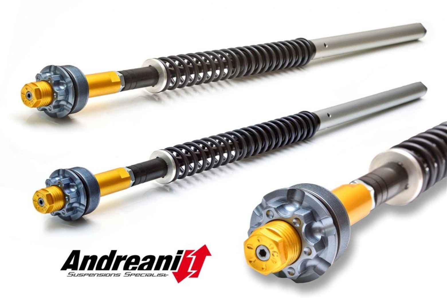 Andreani KTM RC390 / Duke 390 Adjustable Cartridge Kit