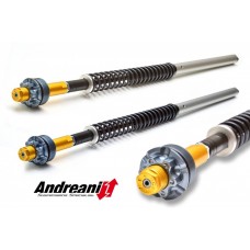 Andreani Adjustable Fork Cartridge Kit - KTM Duke 690