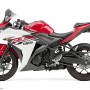 Yamaha YZF-R3 ECU Flash Service
