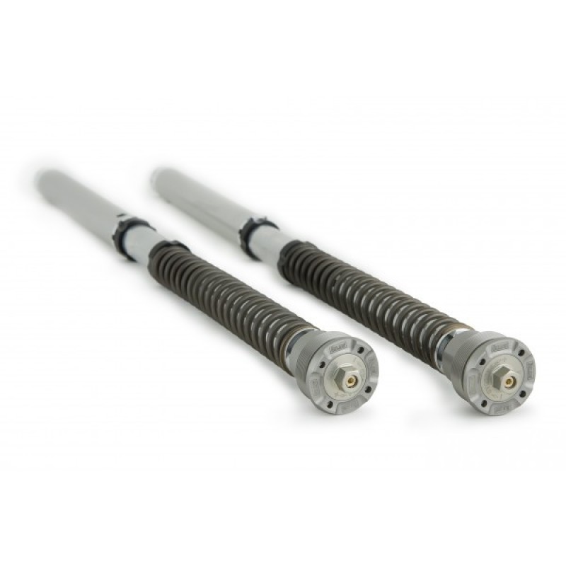 OHLINS NIX 30MM FGK FORK CARTRIDGE KIT - KAWASAKI ZX-6R 636 (2013