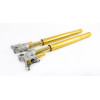 Ohlins FGR300 MotoGP Superbike Forks FGR 300