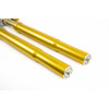 Ohlins FGR300 MotoGP Superbike Forks FGR 300