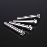 Zeta Z-Titanium Radial Caliper Mount Bolt Set - M10x1.25 55mm Length